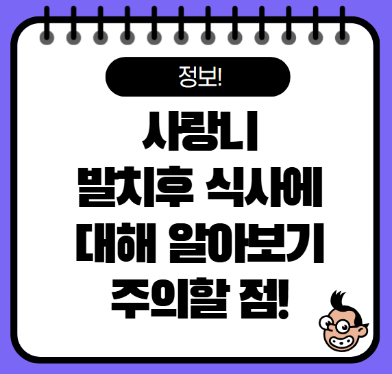 사랑니 발치후 식사 알아보기 커피, 흡연, 음주 정보