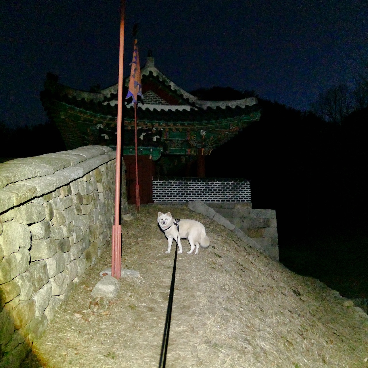 서문은 바로 앞에 있었습니다. 서문으로 내려가는 길이 경사져있으니 조심하세요.