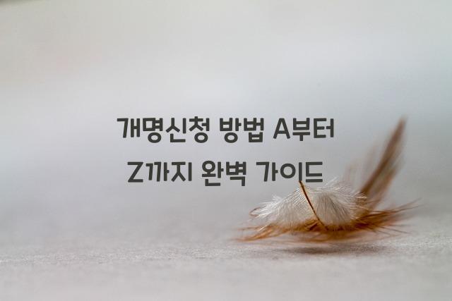 개명신청 방법