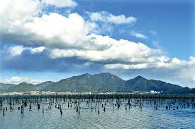 6시내고향 사천 굴구이맛집 펜션 예약 완벽 가이드