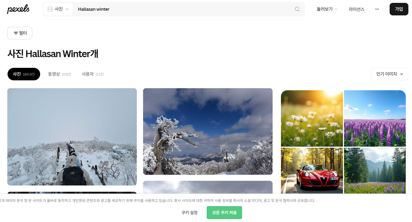 무료 이미지 사이트 pexels