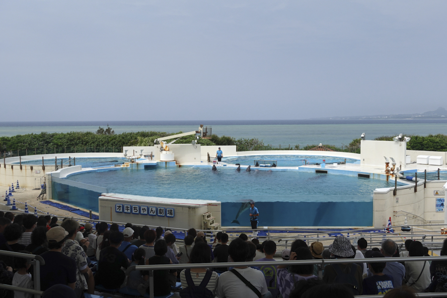 오키나와 츄라우미 수족관 돌고래쇼