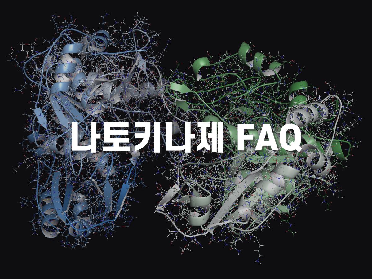 나토키나제 상식