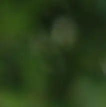 동남아 베트남 코로나19 재유행