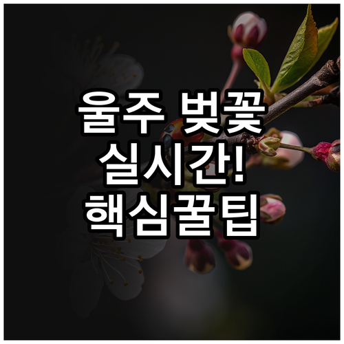 2026년 울주군 벚꽃 축제 일정 및..