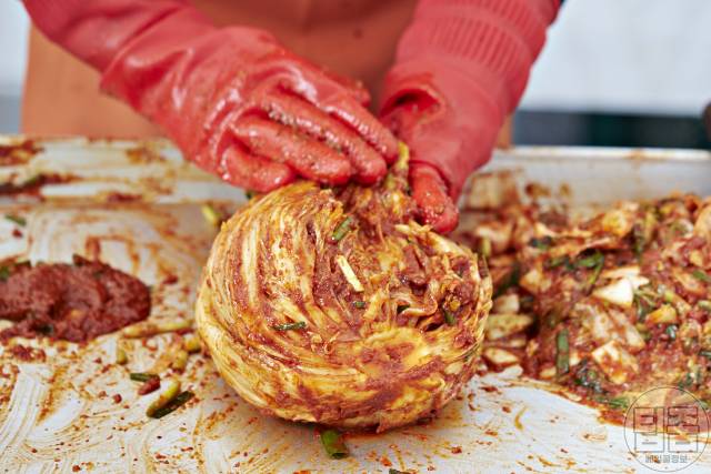 김장 김치 맛있게 담는 법,배추가 물러지는 이유