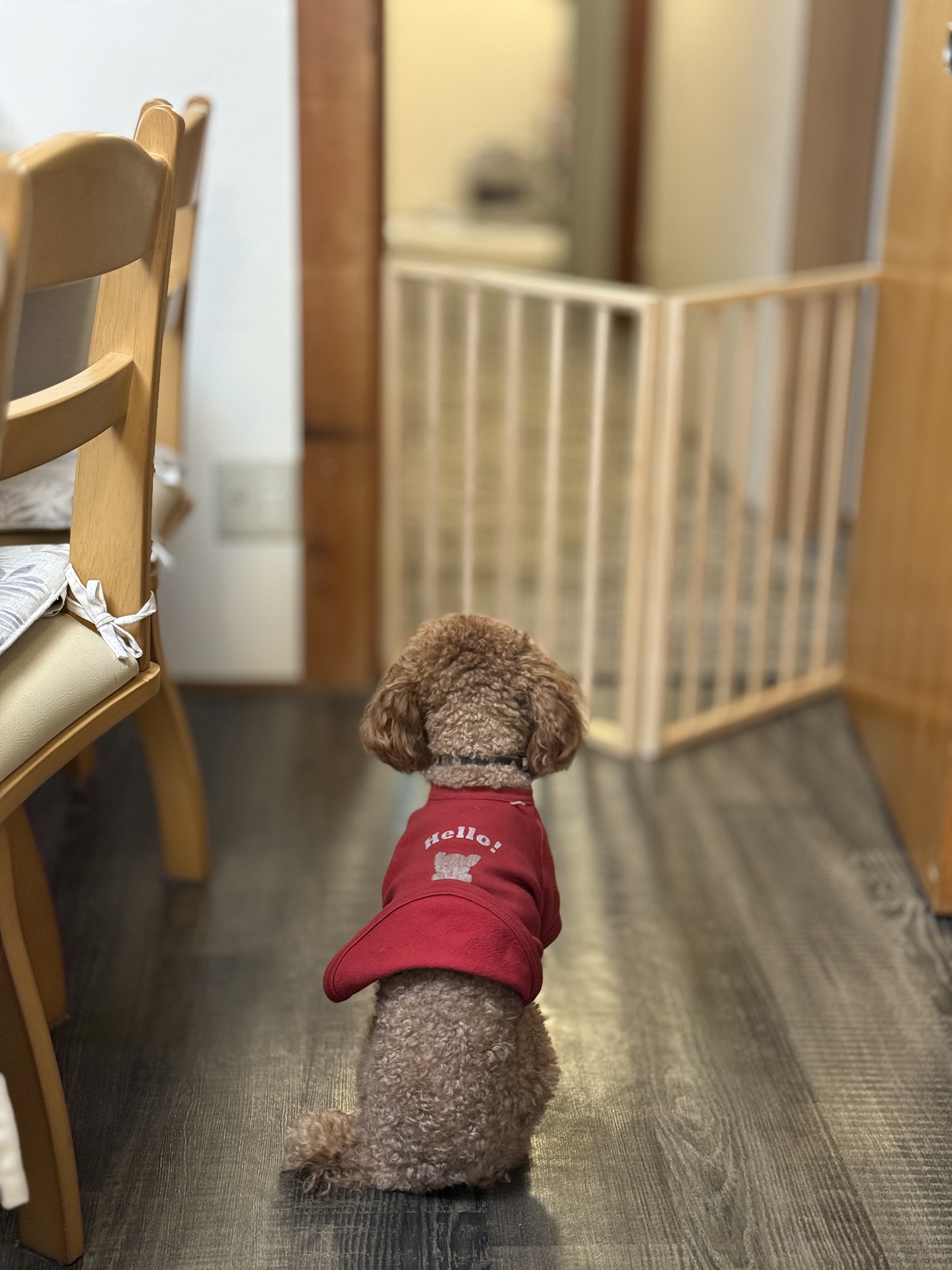 도쿄 일본 감성 가성비 숙소 추천! Mokkoan Hotel 3박 후기