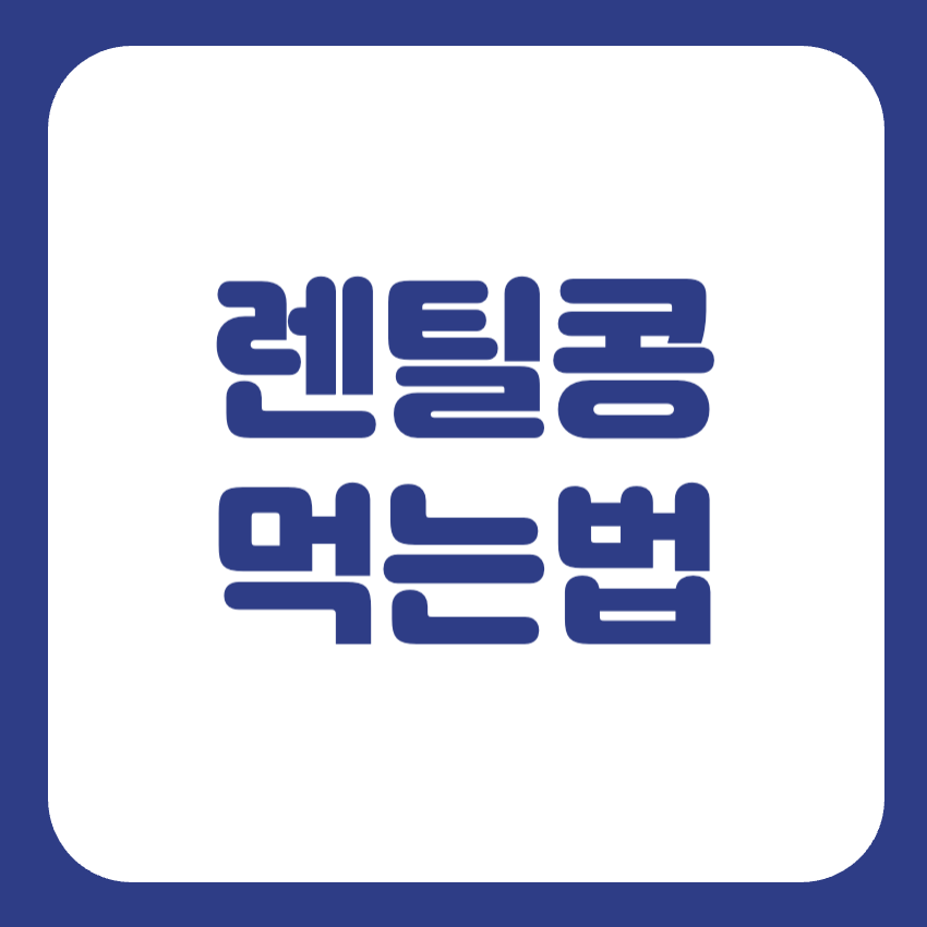 렌틸콩 먹는법