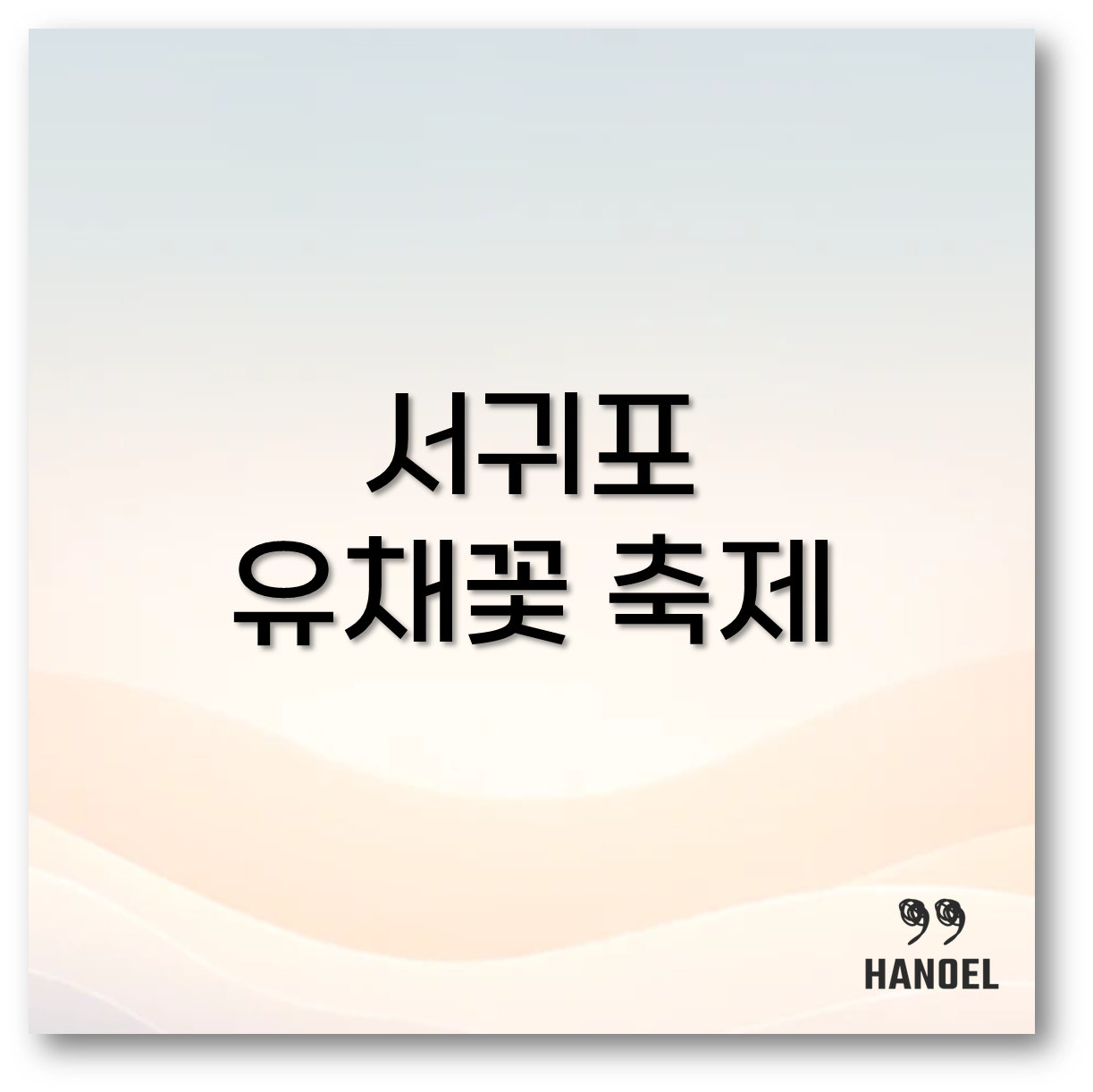 서귀포 유채꽃 축제