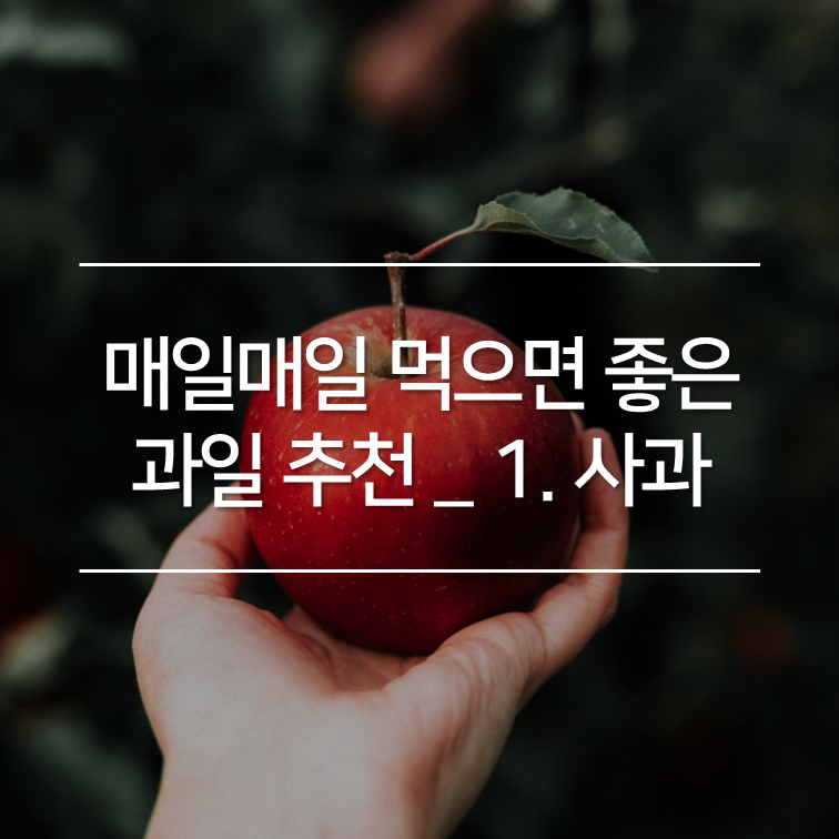 매일매일 먹으면 좋은 과일 추천 _ 1. 사과