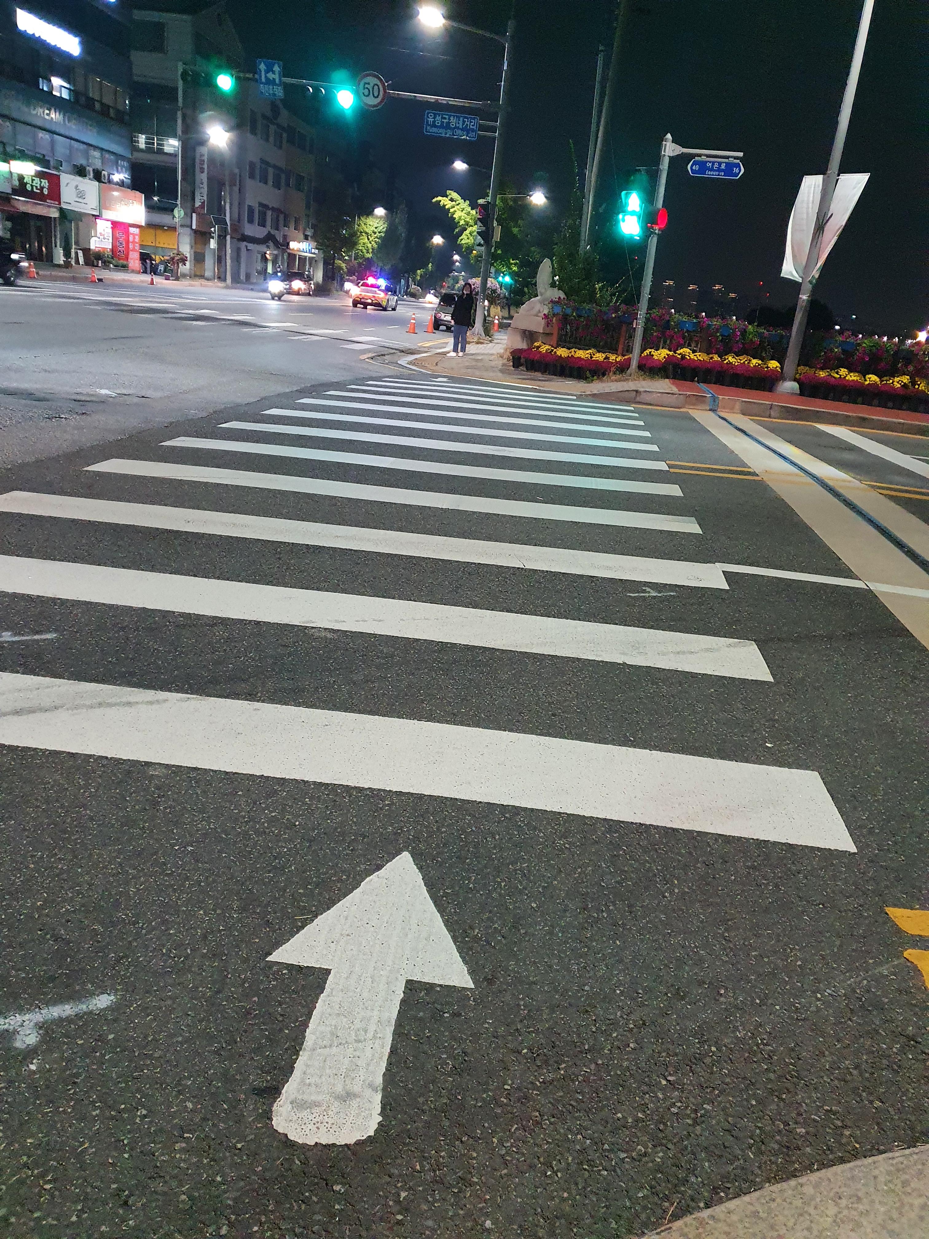 유림공원 국화축제 오후 10시면 끝! 집으로~
