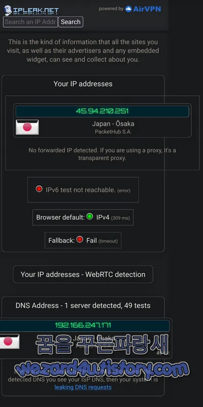 노드 VPN 스마트폰 IPLEAK 접속 화면