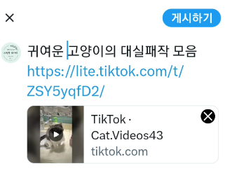 포스팅 게시하기 화면