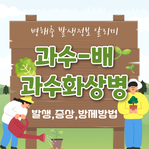 배 과수화상병 알아보기 (발생환경,증상,방제방법)