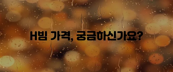 H빔 가격표
