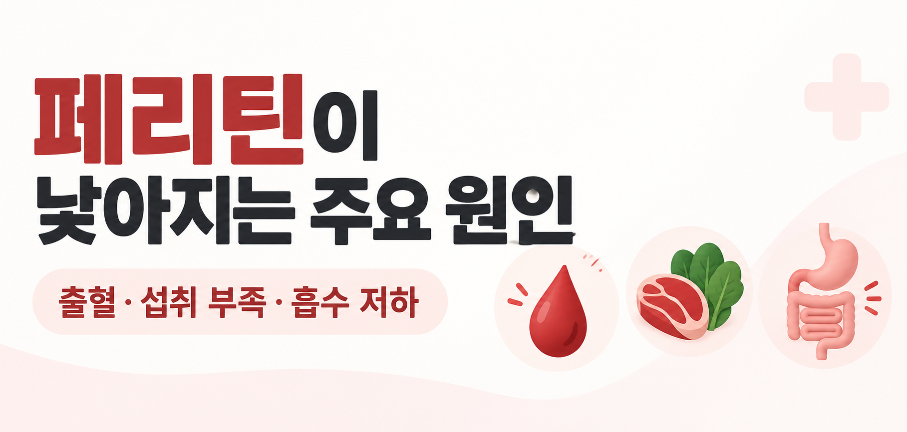 페리틴이 낮아지는 주요 원인 이미지