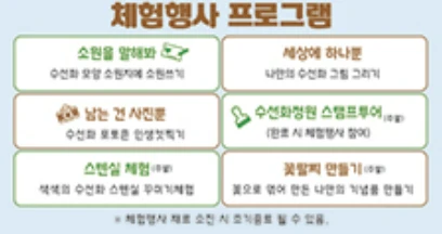 2025 신안 섬 수선화 축제 일정&amp;#44; 입장료&amp;#44; 여객선 시간표 총정리