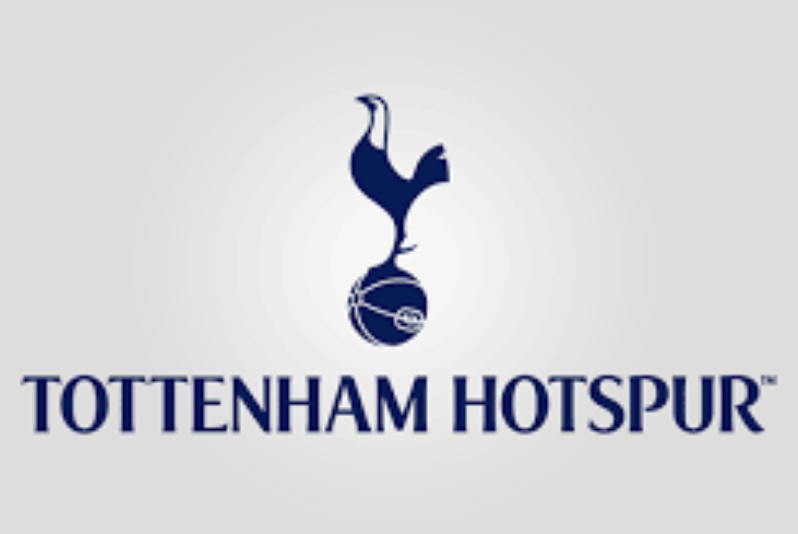 토트넘 훗스퍼, 손흥민 사진 이미지