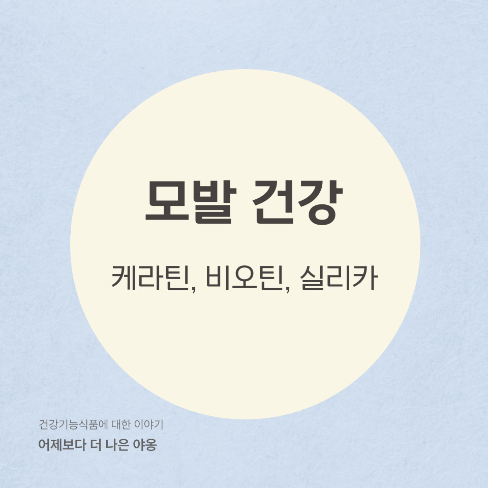 모발 건강에 도움을 주는 케라틴, 비오틴, 실리카