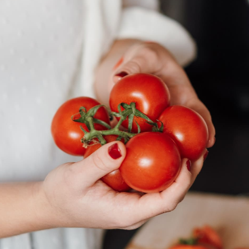 토마토 달걀볶음 만들기