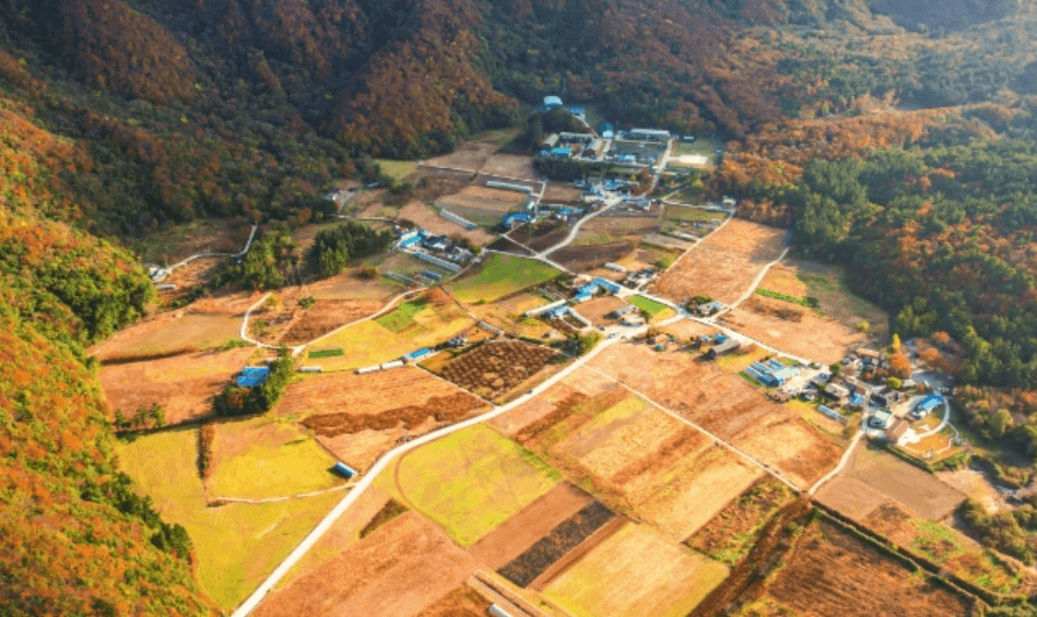 울릉도 &독도 여행 : 배편부터 숙소, 놓칠 수 없는 명소까지!