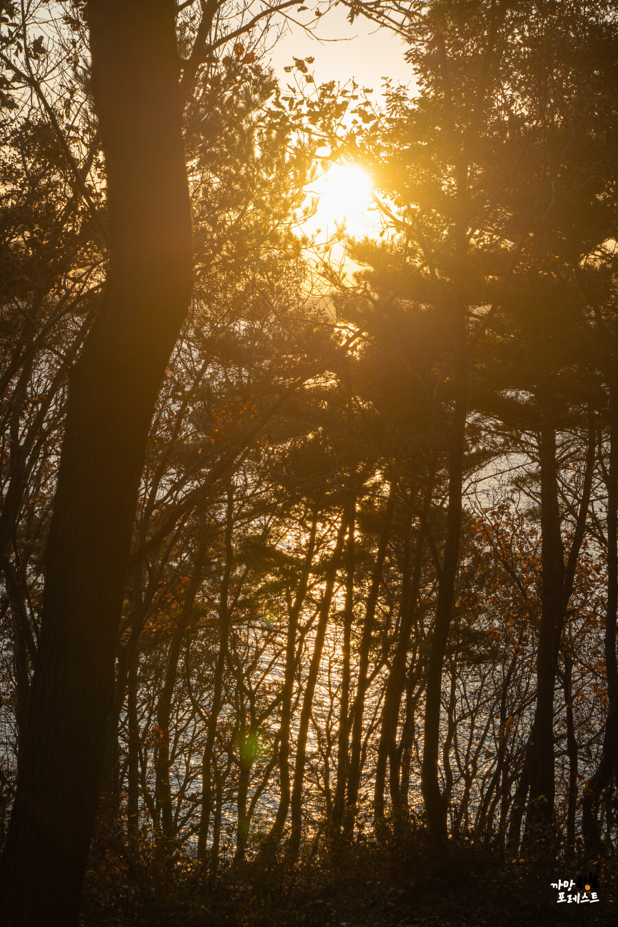 안산 구봉도 대부해솔길
