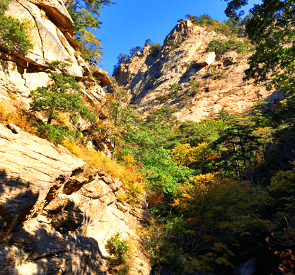 단풍여행 당일 단풍버스여행