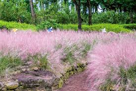 9월 가볼만한 곳 베스트