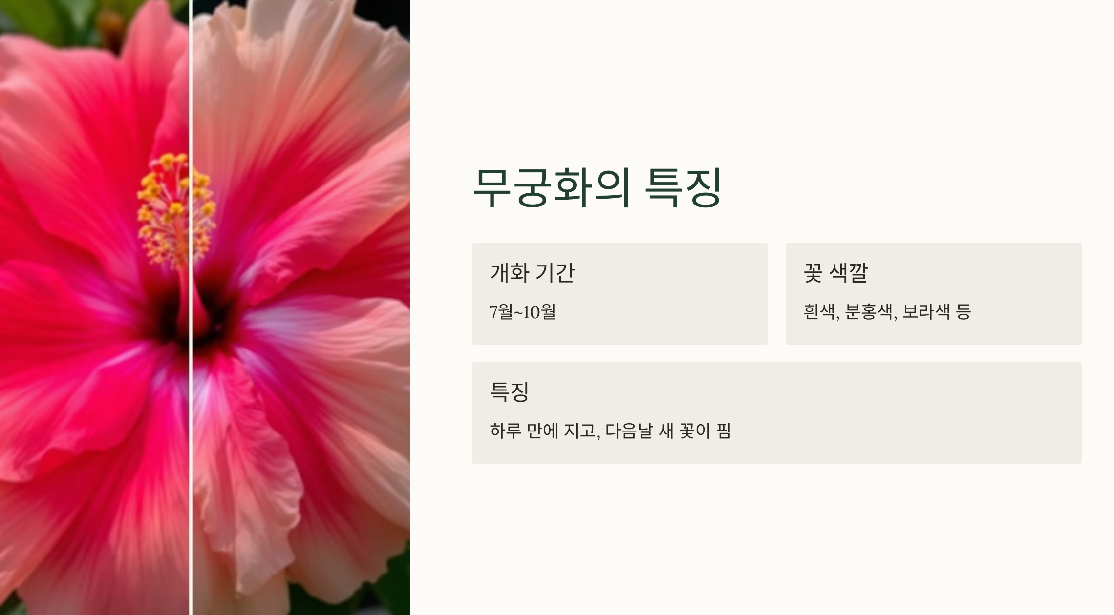 우리나라 꽃, 무궁화