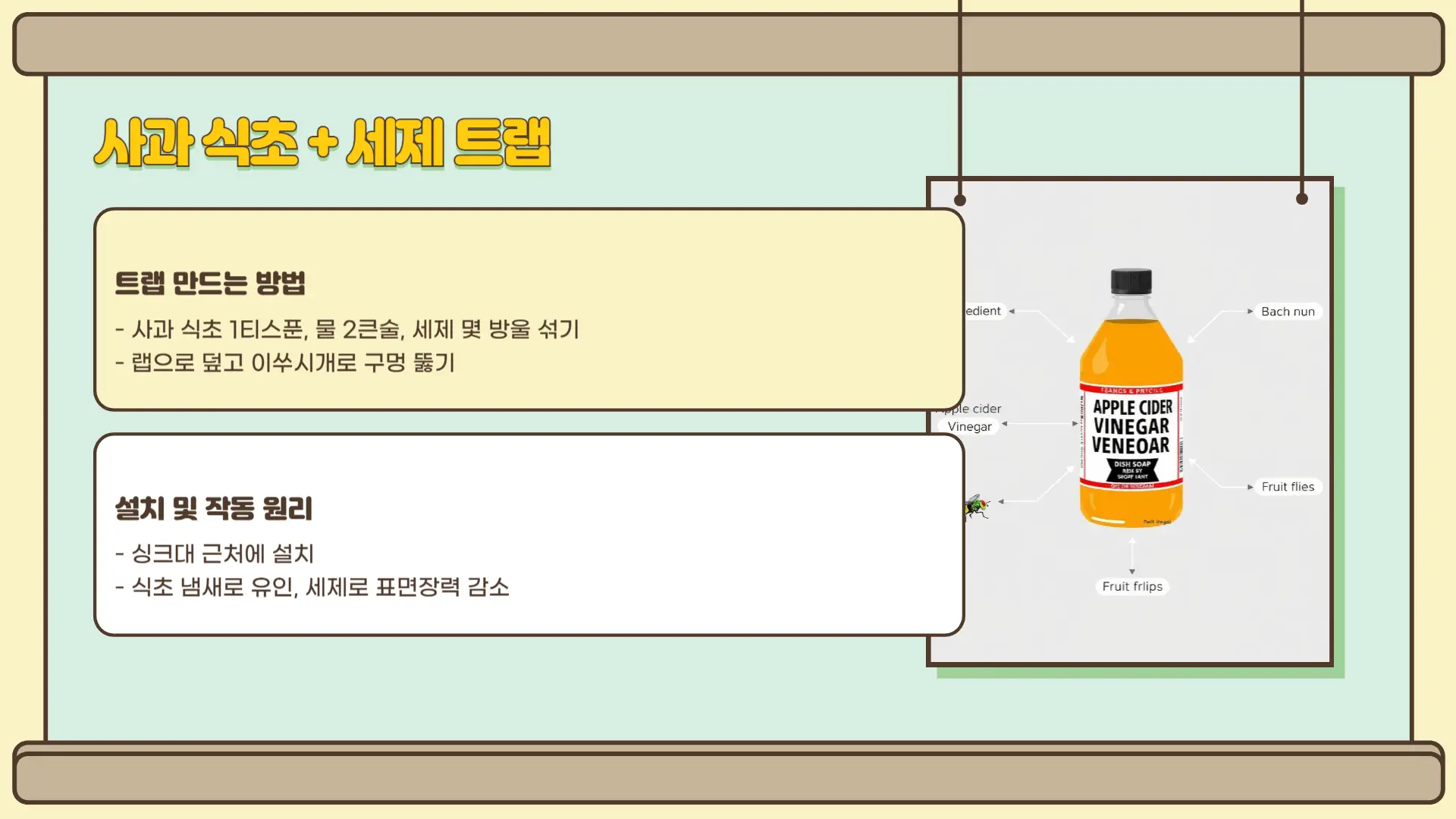 초파리 없애는 방법4