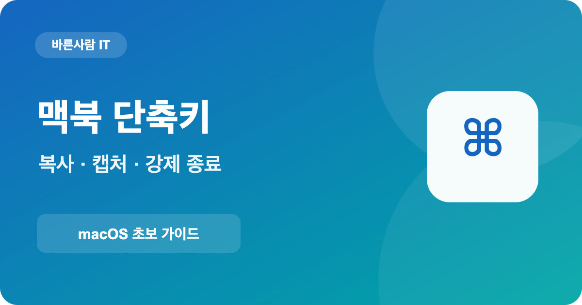 맥북 단축키 복사 붙여넣기 화면 캡처 강제 종료 안내