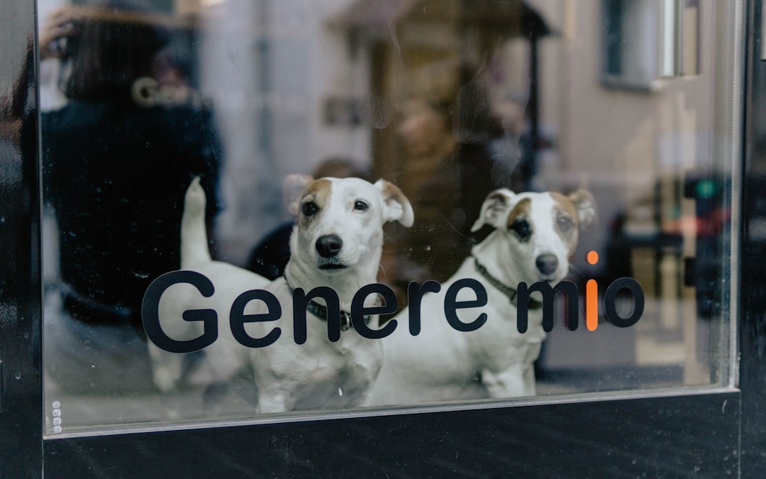 Pet door.