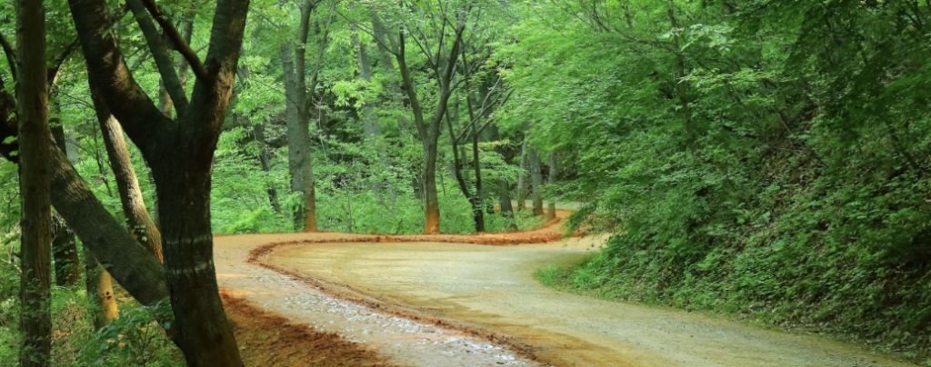 계족산 황톳길 주요 정보