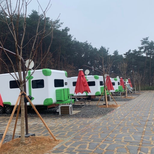 별빛 오토 캠핑장