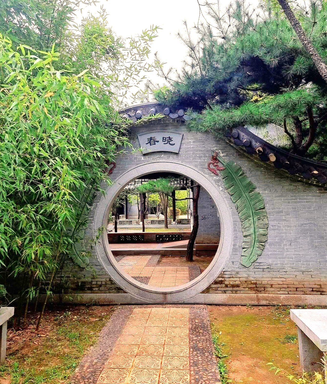 월화원 지춘