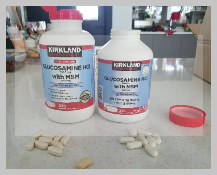 코스트코 글루코사민