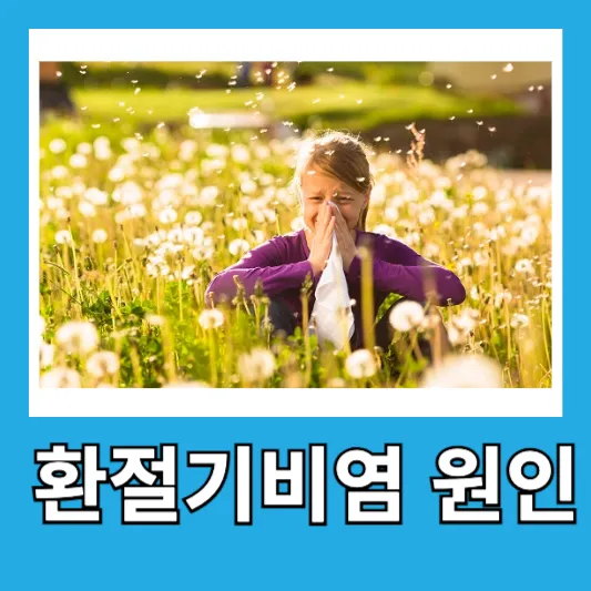 환절기 비염 원인