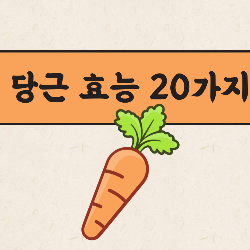 당근효능