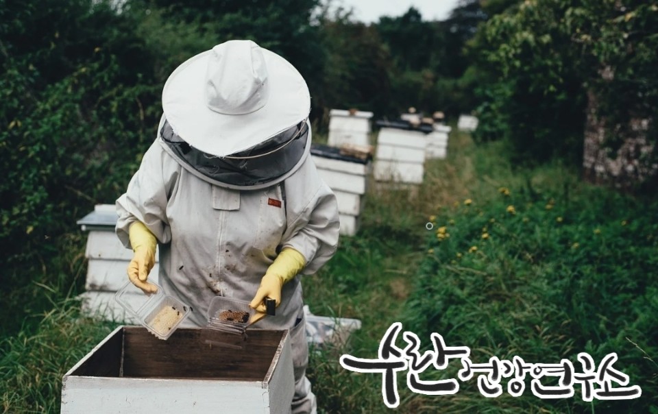 프로폴리스 필름형 원액24
