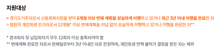 신용불량자 경기도 재도전론 정부지원 대출 조건 한도