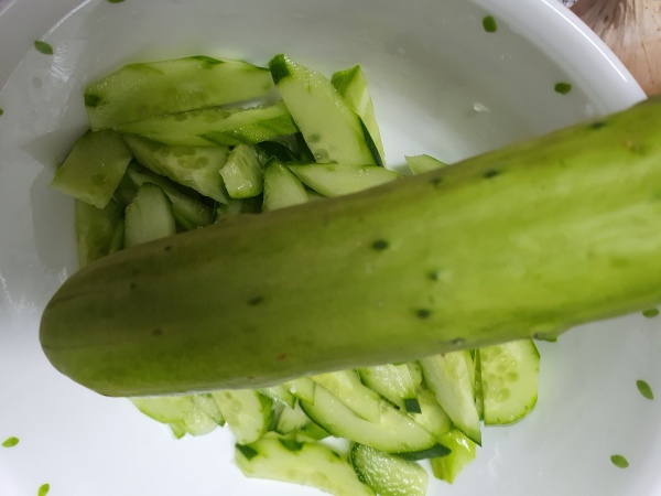 오이-한개-근접촬영