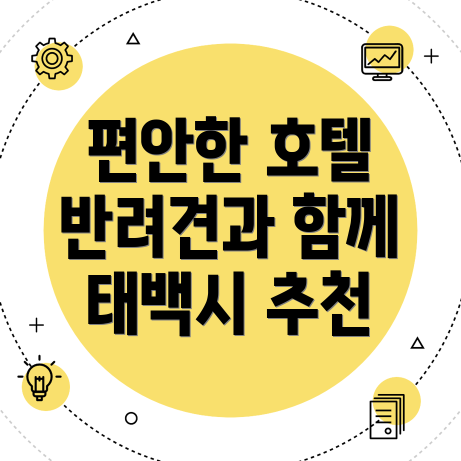 태백시 혈동 반려견 호텔