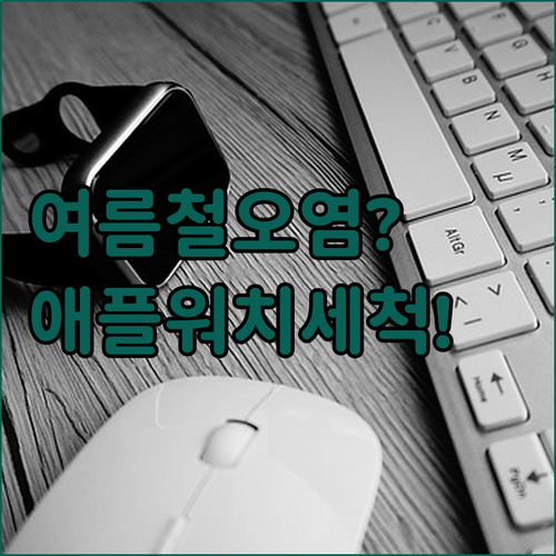 애플워치 메탈 밴드 추천 신지모루 아..