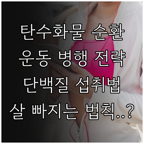 탄수화물 순환 식단표와 단백질 섭취 ..