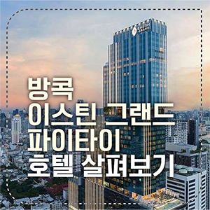 섬네일 이스틴