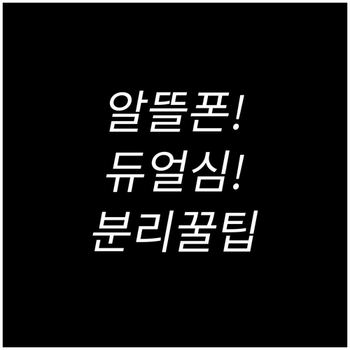 알뜰폰 듀얼심으로 업무와 생활을 분리..