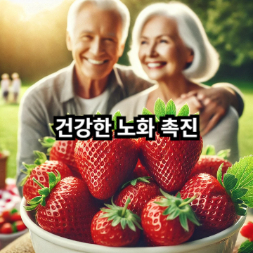 건강한 노화 촉진