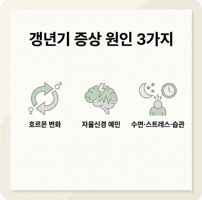 갱년기 증상 원인을 호르몬 변화&amp;#44; 자율신경 예민&amp;#44; 수면&middot;스트레스&middot;습관 3가지로 정리한 인포그래픽
