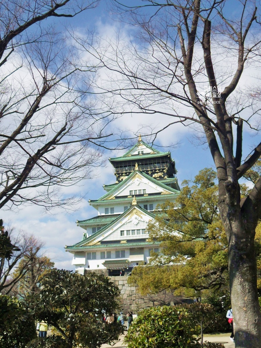 일본 오사카 여행 필수품 오사카 주유패스 할인가격, 이용방법 꿀팁 (무료입장, 무제한 지하철 버스)