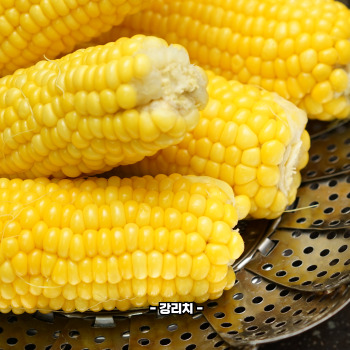 초당옥수수 부작용